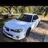 lachie4561